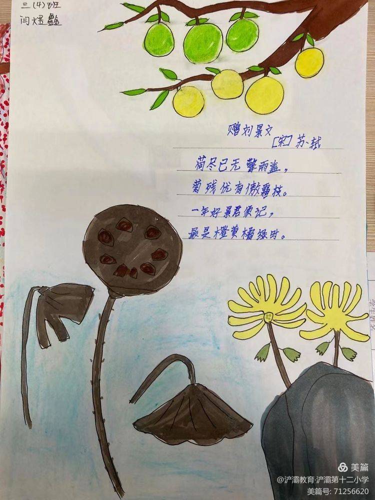 三年级语文实践活动书画秋天与诗同行秋风起秋意浓