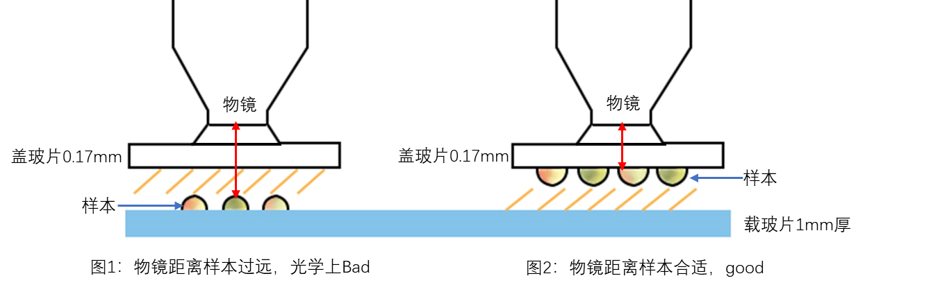 设计|泰立瑞全自动免疫组化染色仪：兼容载玻片和盖玻片染色的全自动免疫组化染色仪