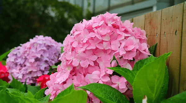 10月16 10月27日 贵人提携 苦尽甘来 事业兴隆 财富不缺的生肖 职场 全网搜