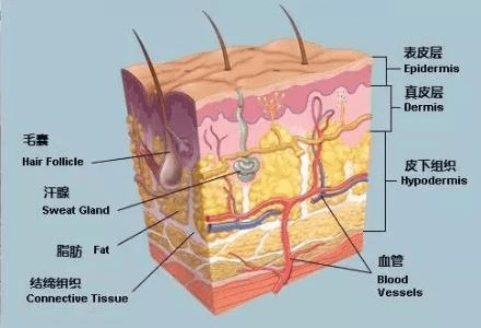 头皮黑米3D纹发：纹发的疼痛感怎么样？能忍受吗？