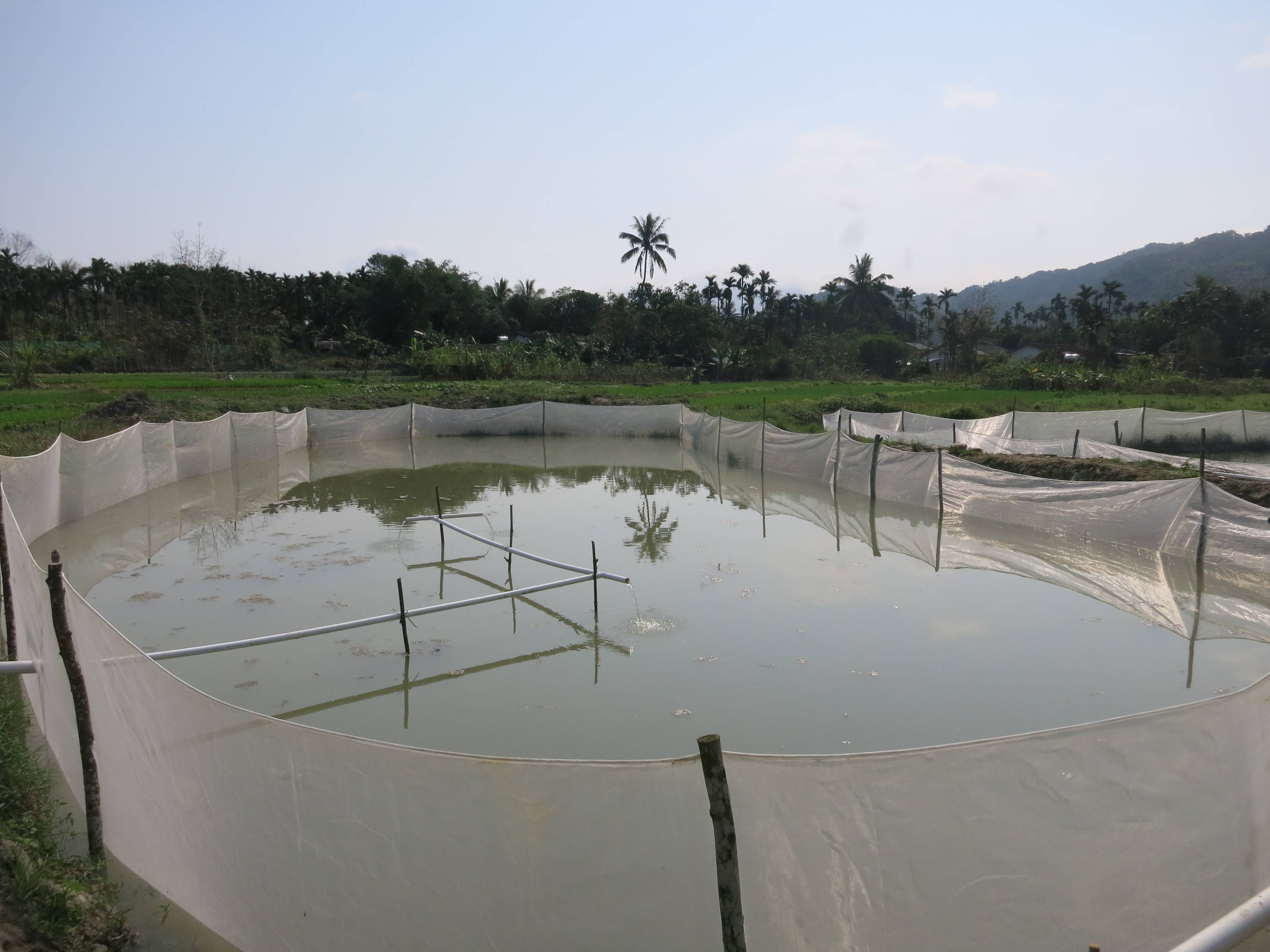 湖北佳农晖农业科技有限公司教你黄骨鱼泥鳅该怎么养_池塘
