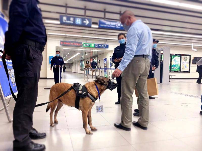 河北省张家口巡逻犬图片