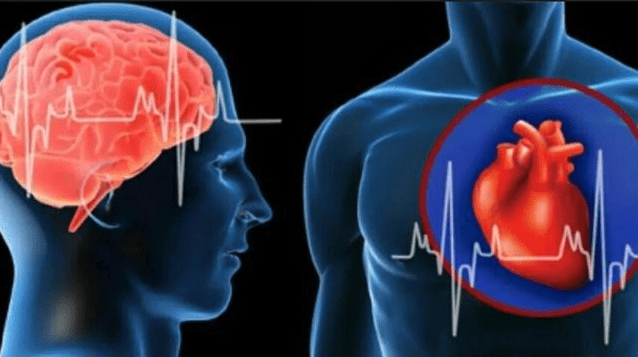 怎么预防心脑血管病