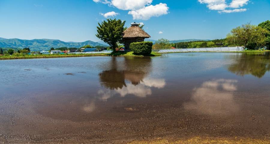 海尔美的海信小米加快拓宽商用赛道,京东苏宁国美备战双11-家电圈官网