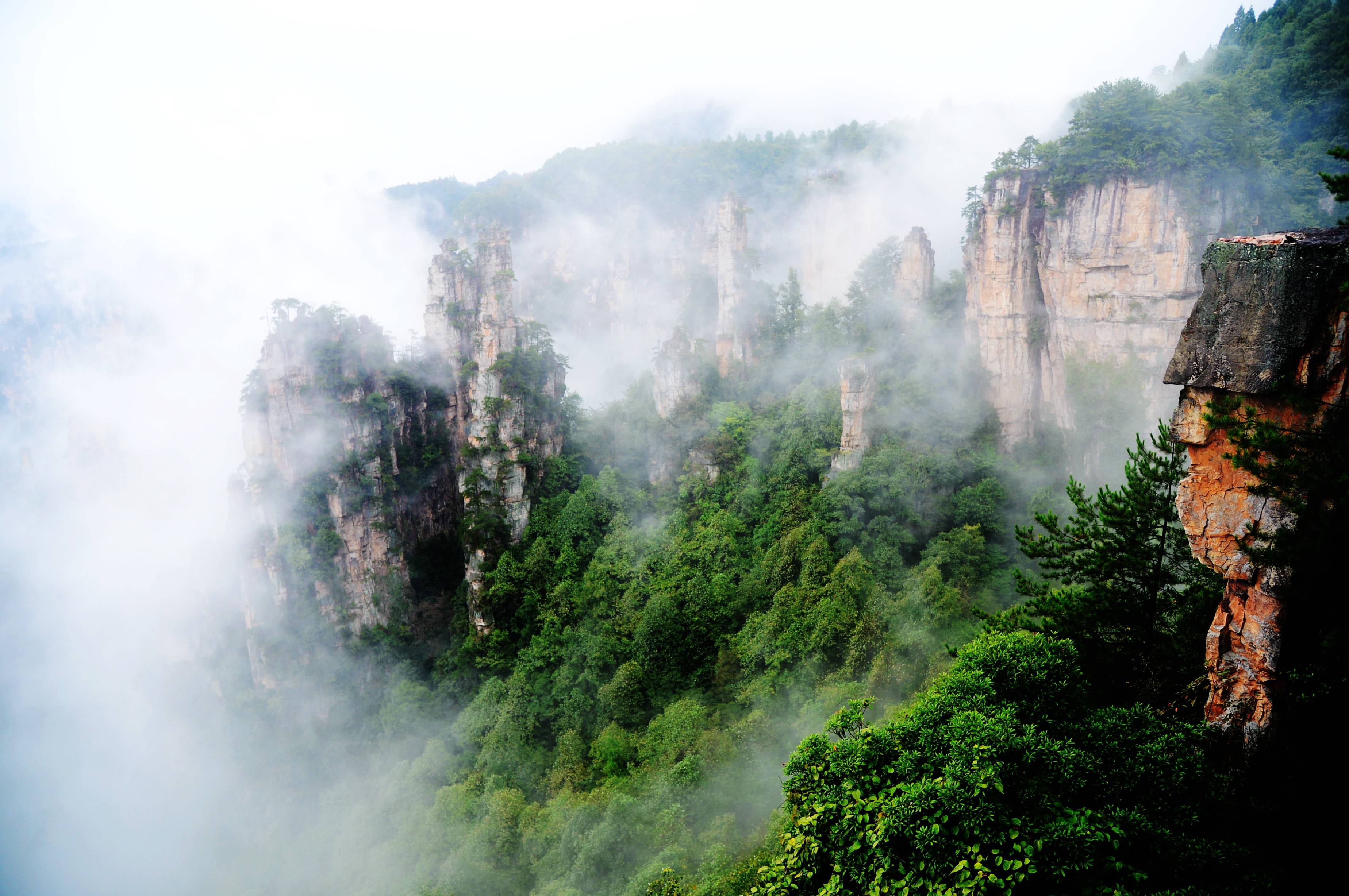 张家界武陵源一场秋雨一场仙漫山云海赛蓬莱