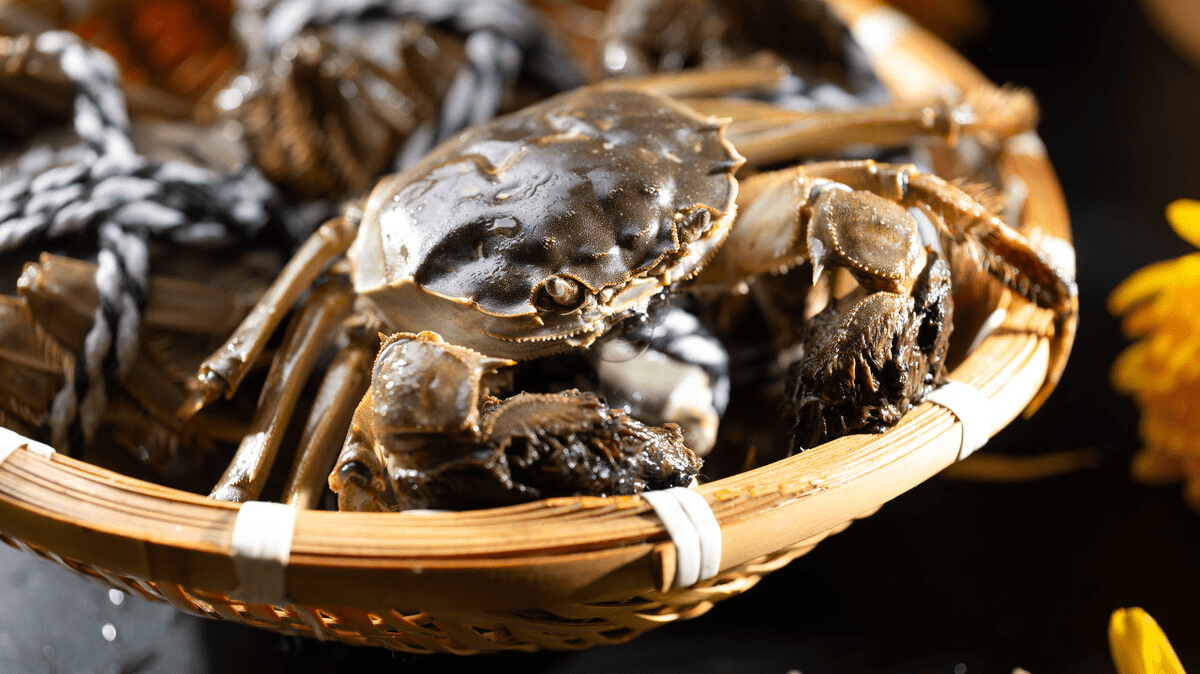 中国10大螃蟹产地吃大闸蟹认准这些产地膏肥黄满肉鲜嫩