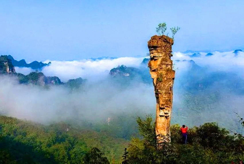 云台山|九九重阳登云台山茱萸峰