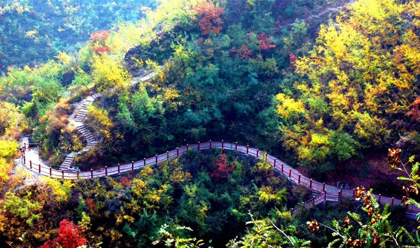 云台山|九九重阳登云台山茱萸峰