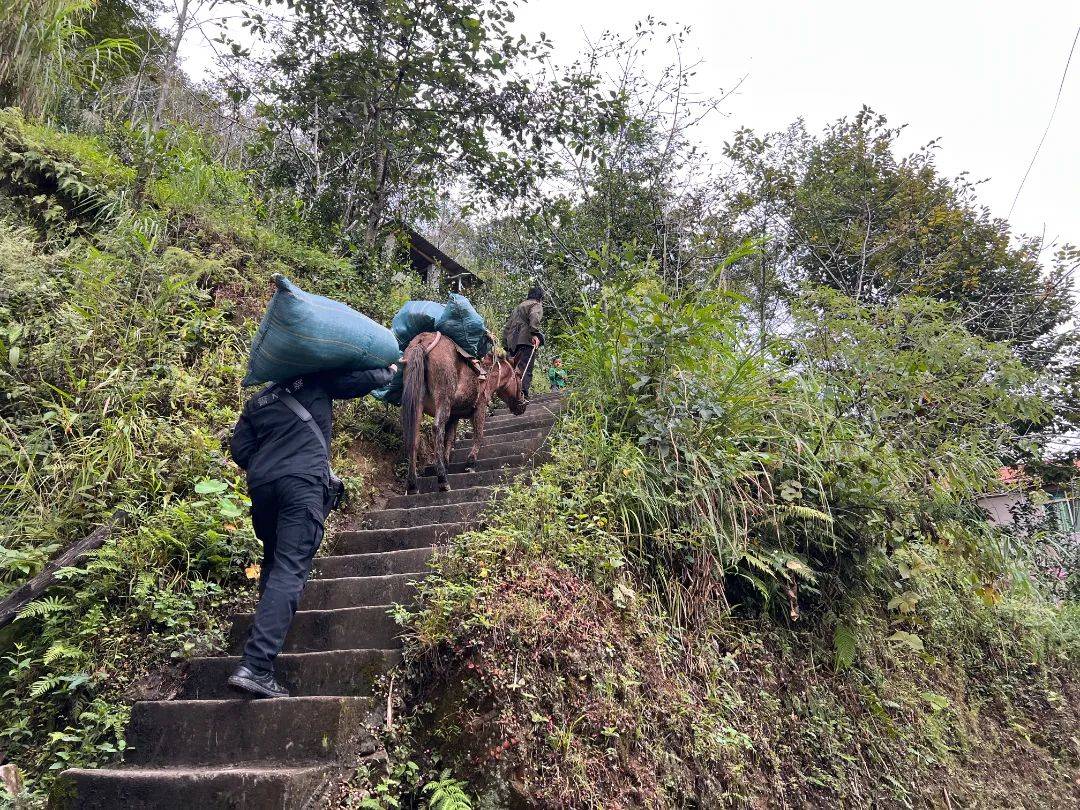 云南边境这个执勤点物资靠马驮民警上山前先剪脚指甲