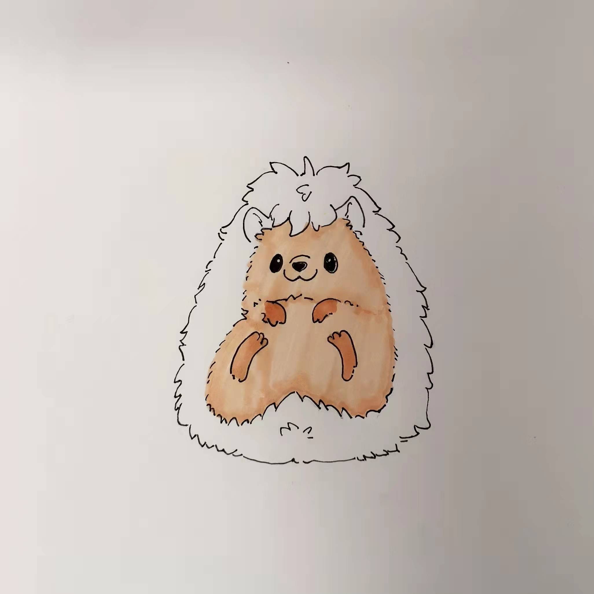 画师戳戳教你画小刺猬