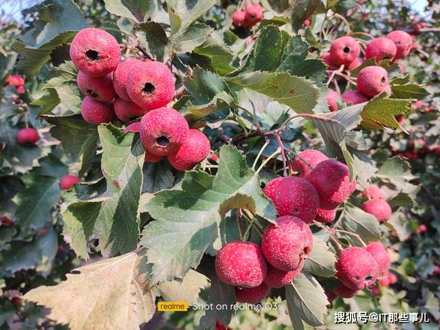 骁龙778G和5000mAh大电池 性能和续航拉满 realme Q3评测