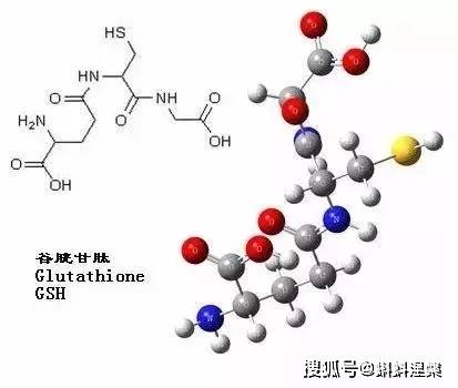 怎么样减少自由基 823af43e930445558ced924796e66bee.jpeg