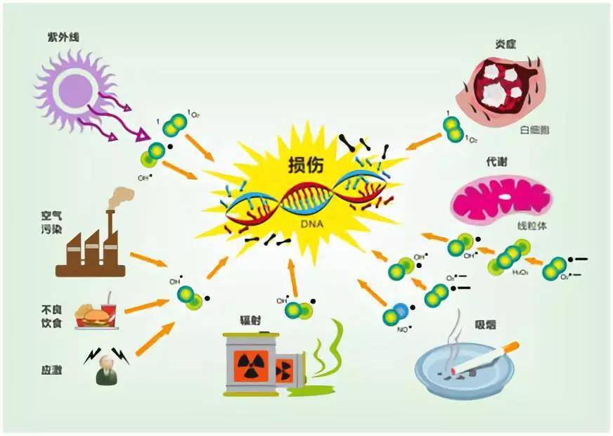 什么抗氧化治疗对改善弱精症有什么优势之处？