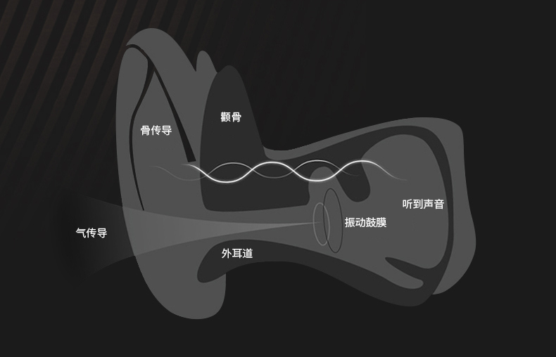 骨傳導耳機的工作原理其實並不難理解,在正常情況下,聲波是通過空氣
