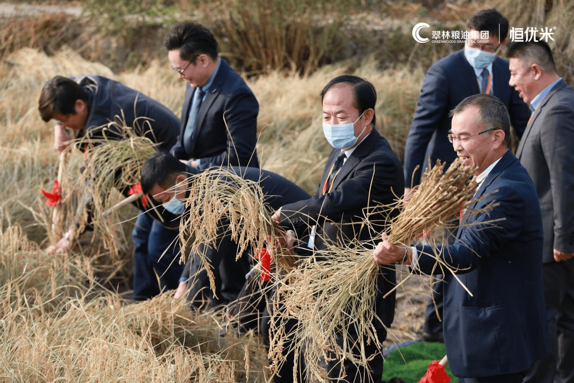 系列|“越光宝盒”横空出世 翠林农牧破局高端大米消费市场