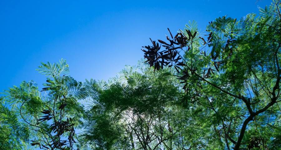 家电三季报喜中有忧,海尔美的格力海信长虹华帝追觅双驱动-家电圈官网