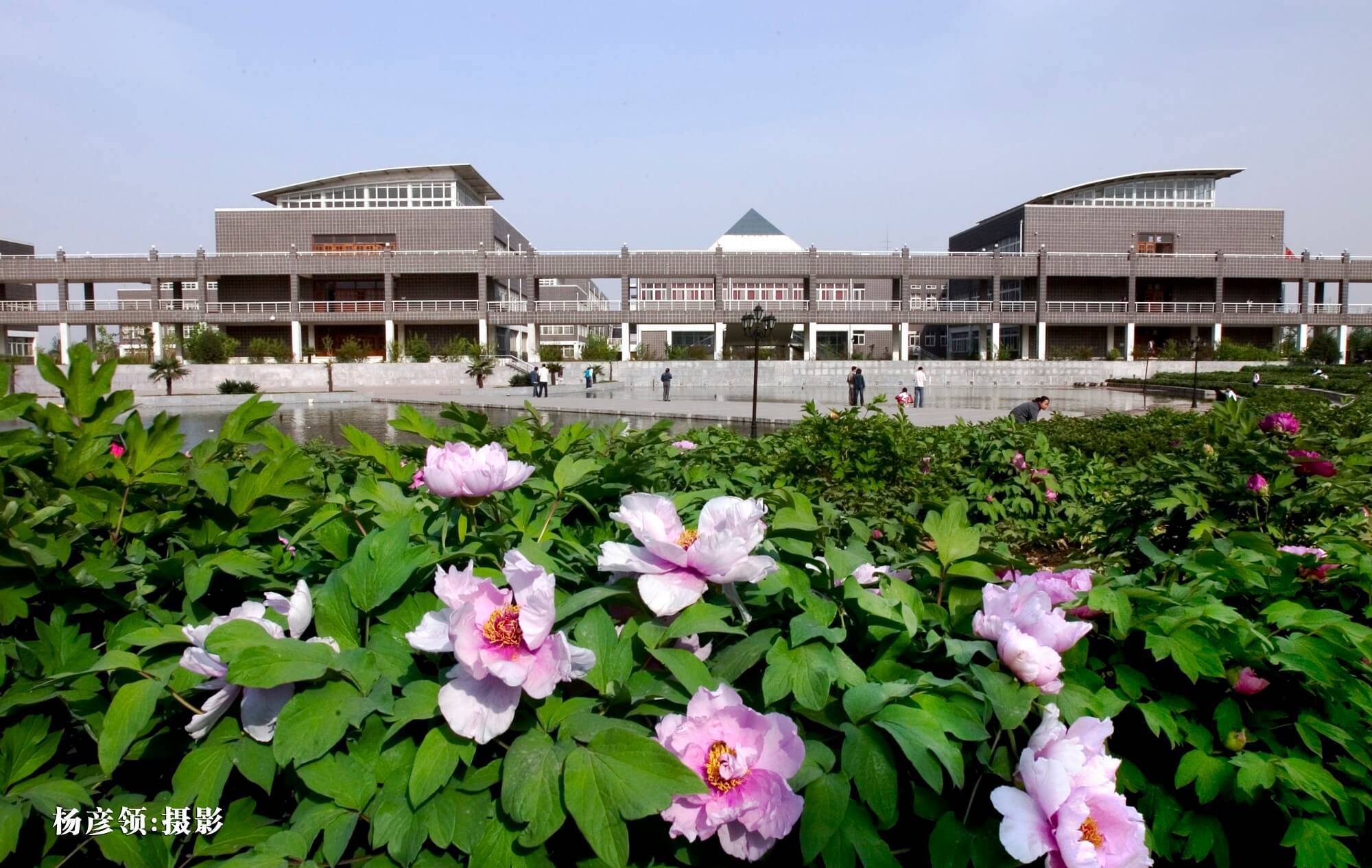 专接本院校分析——邯郸学院_设计