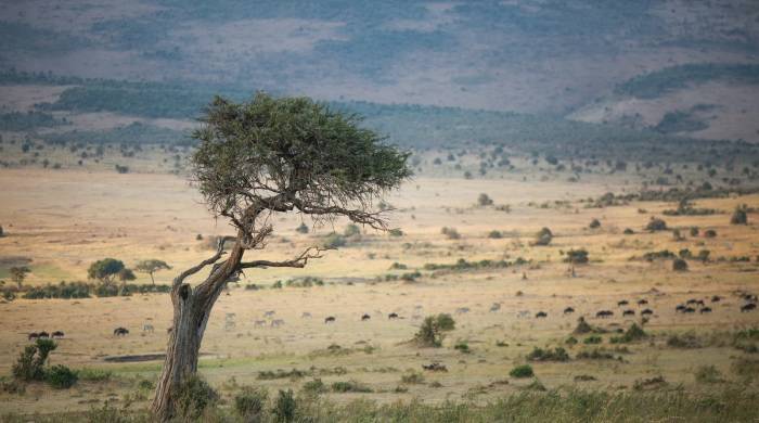 面对突发和意外的频发,家电业要多手段创利润来应对!-家电圈官网