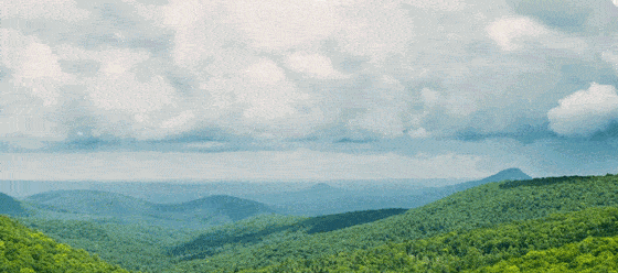 公司|冬天的第一个莲花橙，口口甜蜜驱寒意