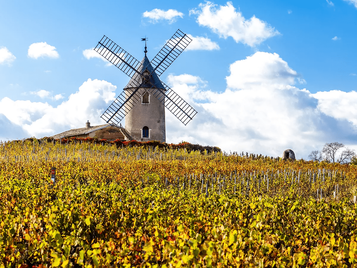 Nouveau|博若莱新酒节,带你领略微醺界的快时尚!