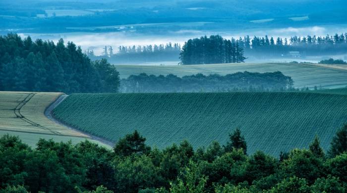 今年双11京东天猫继续涨,但家电业的底牌也变了-家电圈官网