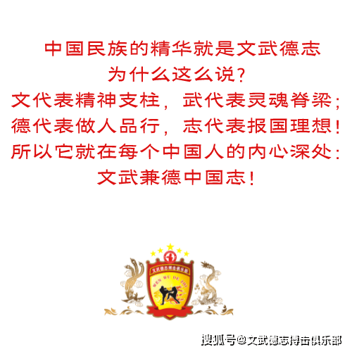 文章配图-3