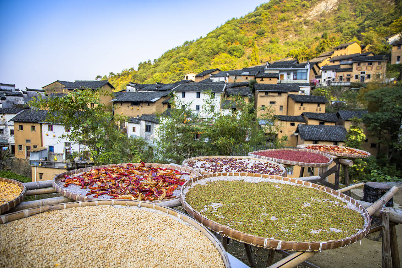 阳产|安徽旅行| 阳产土楼，云端里的秋禧之乐