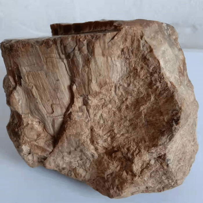 木化石赏析