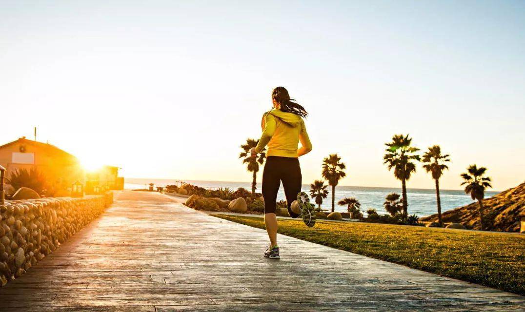 图片|减肥和营养两不误，花青谷打造营养瘦身花样早餐