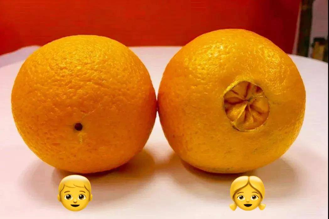 挑水果看公母,到底靠不靠谱?