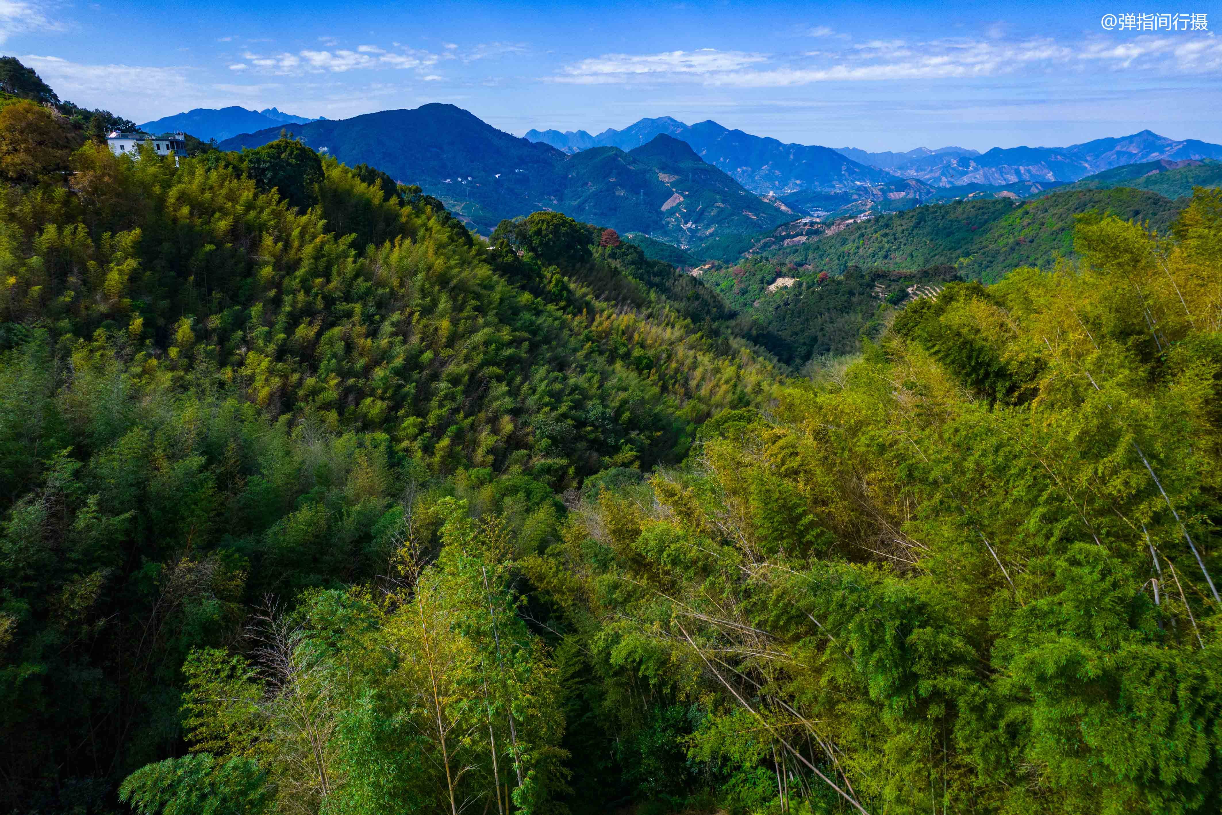 凤凰镇|广东潮州有个隐世山村，号称“单枞茶乡”，是潮汕的“诗与远方”