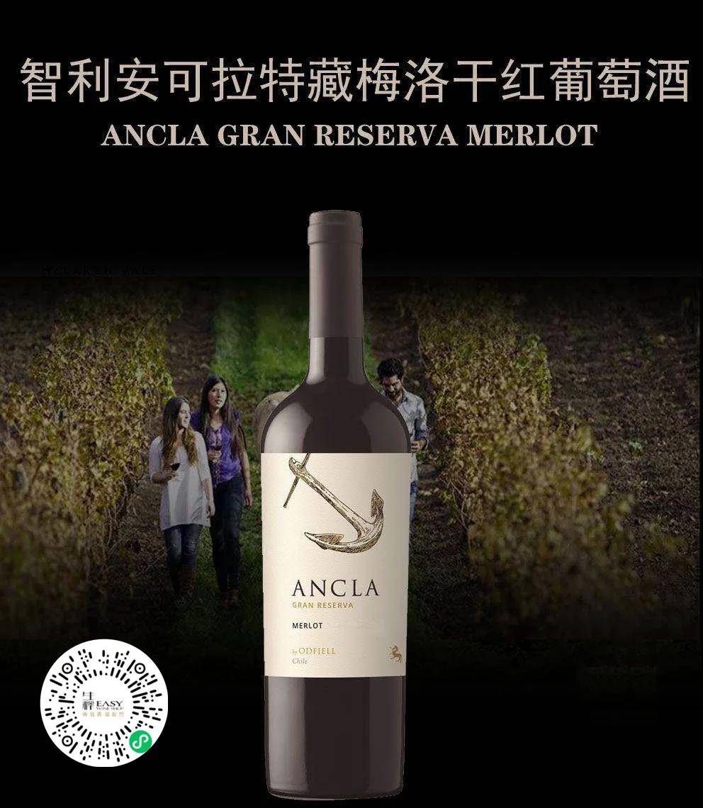 特性|世界梅洛日——你知道吗？原来这才是真正的梅洛！！！