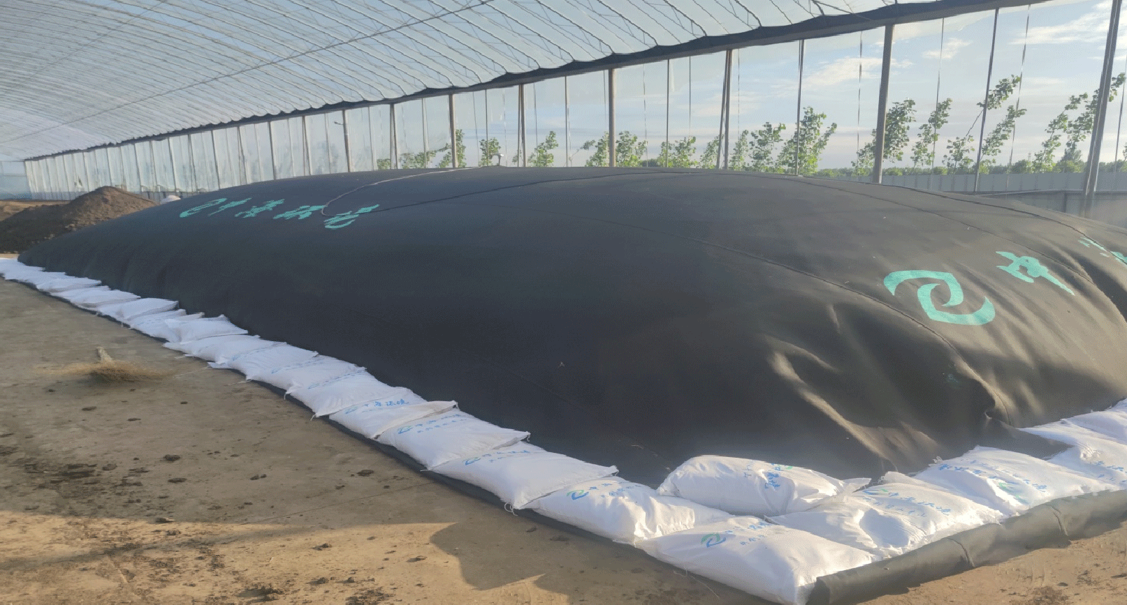 鸡粪纳米膜发酵