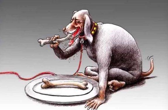 新时代狗奴才何去何从