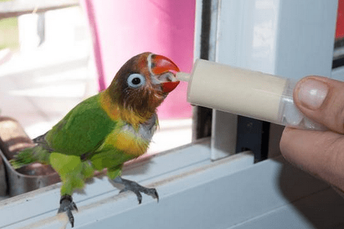 3157c396c13d4d14b96c93c513a33892.png