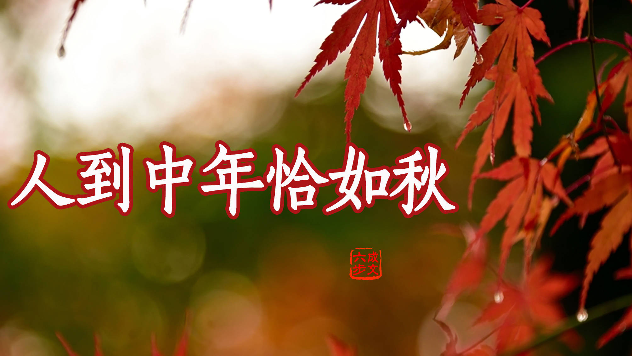 苏轼:人到中年恰如秋,看繁华落尽,望一池秋水,品一杯清欢