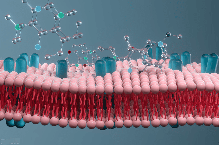 脑磷脂群第二:针对性的语言提升关键辅助训练,增加孩子开口说话的意愿