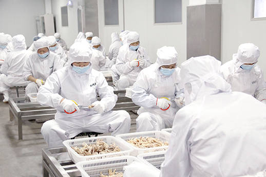 哪里有无骨鸡爪半成品批发厂家_进行_加工_柠檬