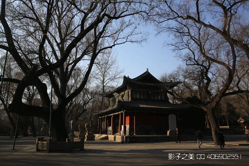 技术|千年晋祠 唐风晋韵