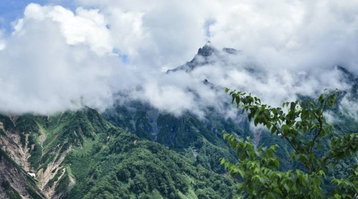 面向消费者“临门一脚”卖货，家电厂商要搞本土化的小招-家电圈官网