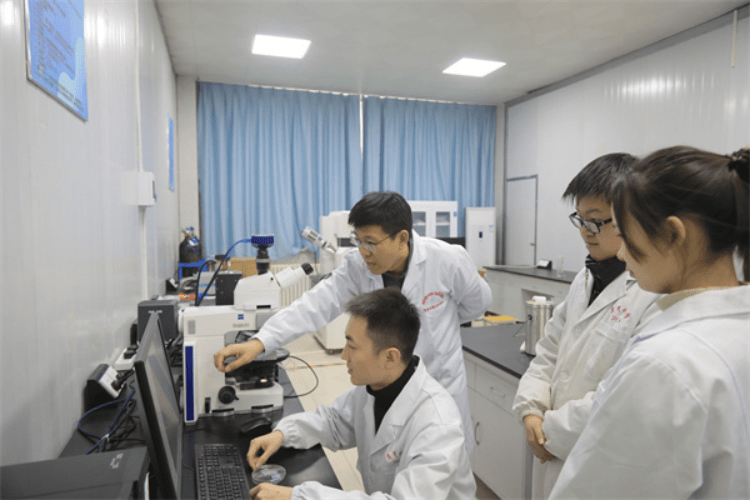 西京学院丨民办院校如何摘得国家大奖？