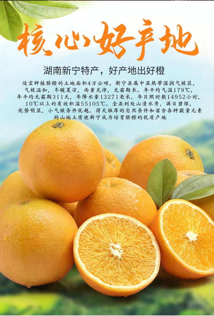 江西创泽文化传媒有限公司新宁脐橙