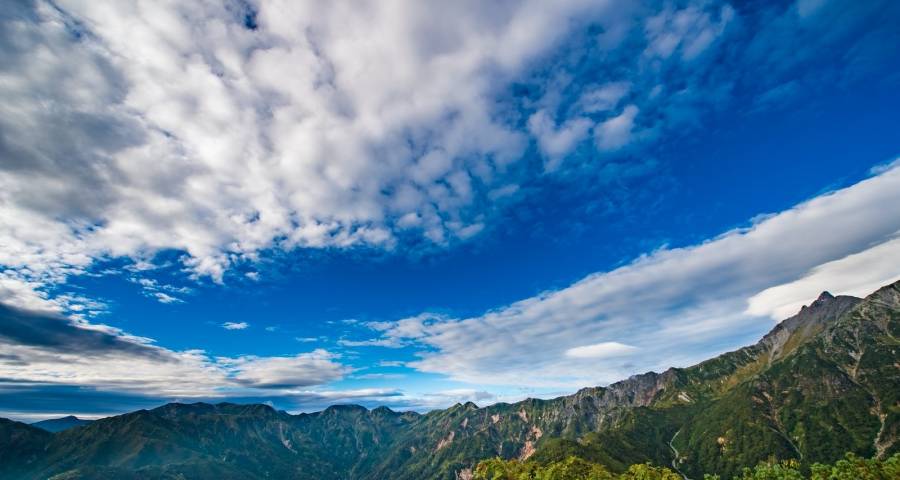 苏宁国美等开始新一轮门店撤场调整-家电圈官网