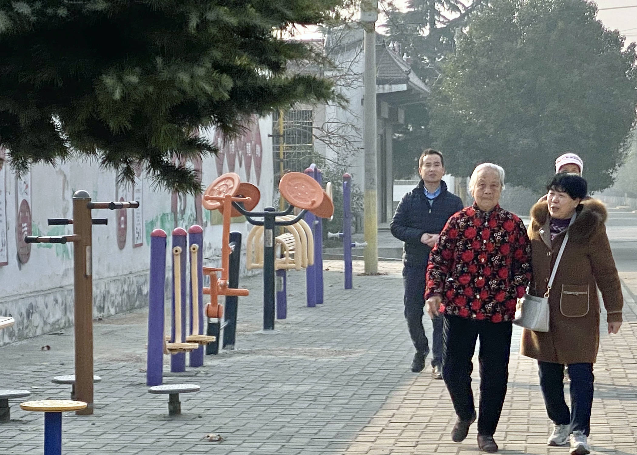 陕西大荔县韦林镇人居环境整治让村子靓起来