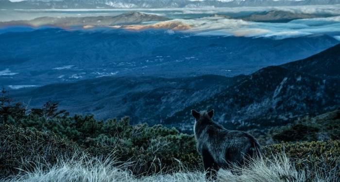 在这些小事情上，很多家电厂商却坚持不下来，为什么？-家电圈官网