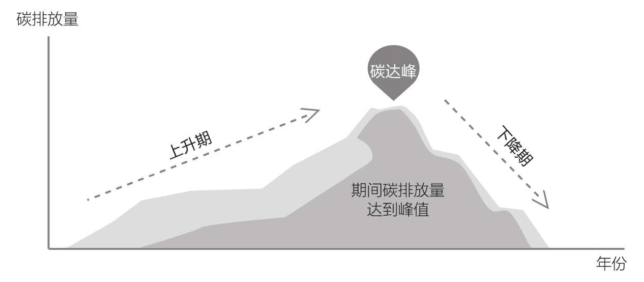 双碳目标下我们该如何亲身力行减少自身碳足迹