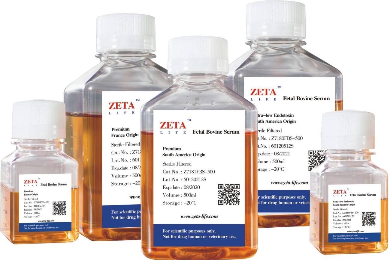 advanceddnarna转染试剂可以转染的细胞