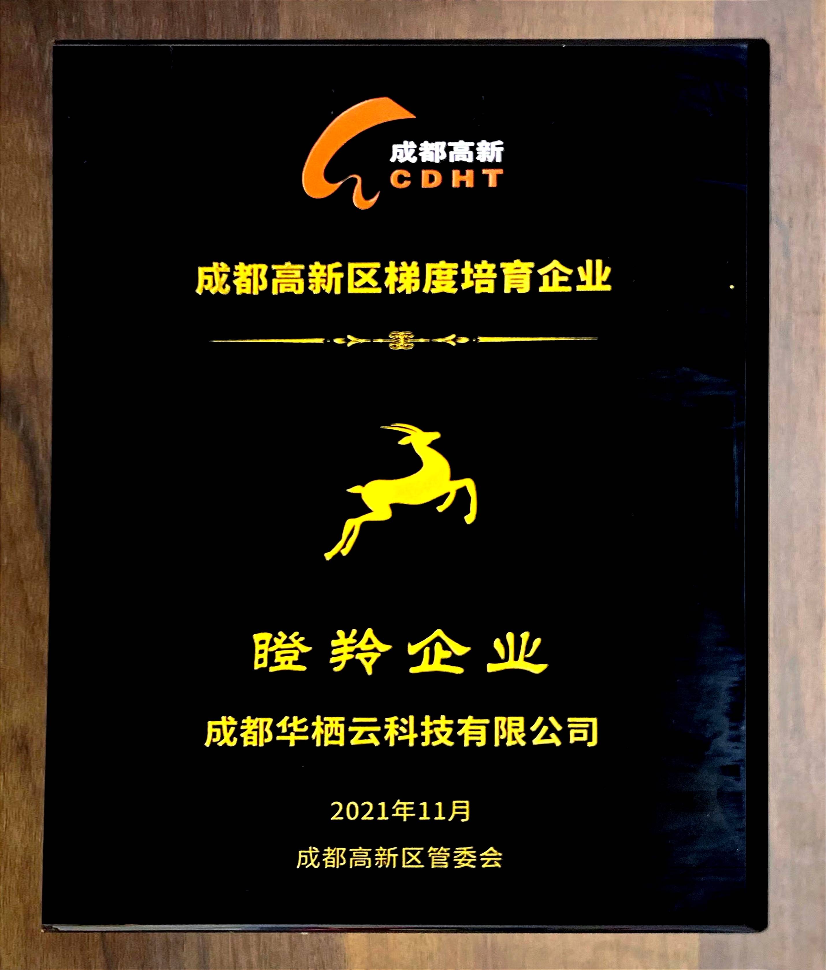 高新区瞪羚企业证书作为独角兽企业的后备军和成长无限的瞪羚