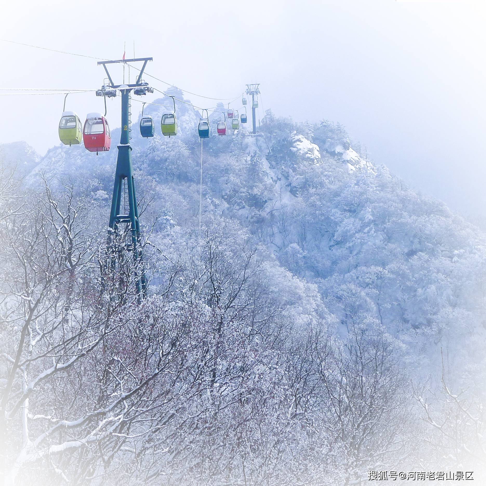 雪後老君山_金殿_雲海_霧凇