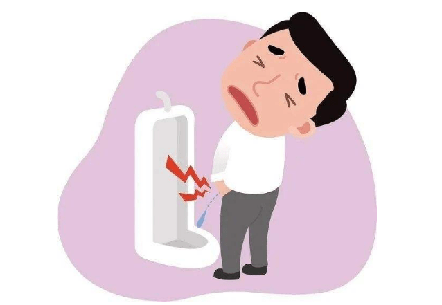 肾脏|引发肾结石的主要因素都有哪些？